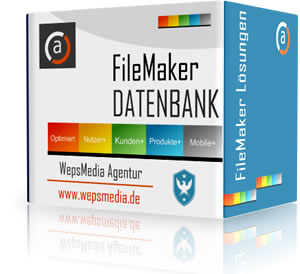filemaker-datenbank-erstellung